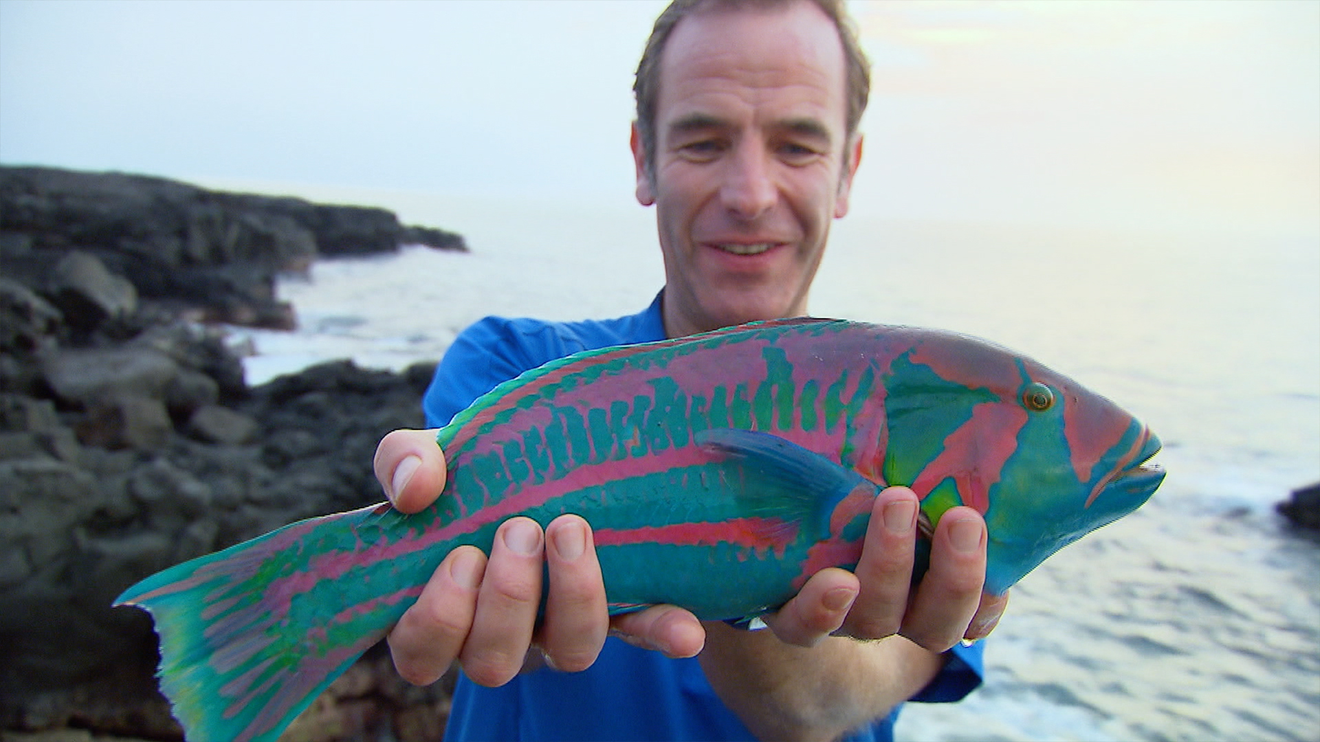 Watch Robson’s Extreme Fishing Challenge Ep 4 Online Hawaii SonyLIV