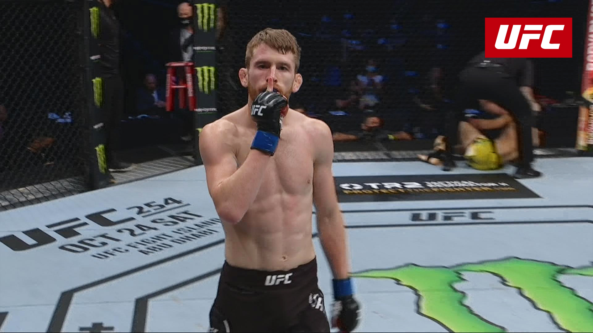 UFC Fight Night Moraes vs Sandhagen HLS 11 Oct 2020 UFC 202021