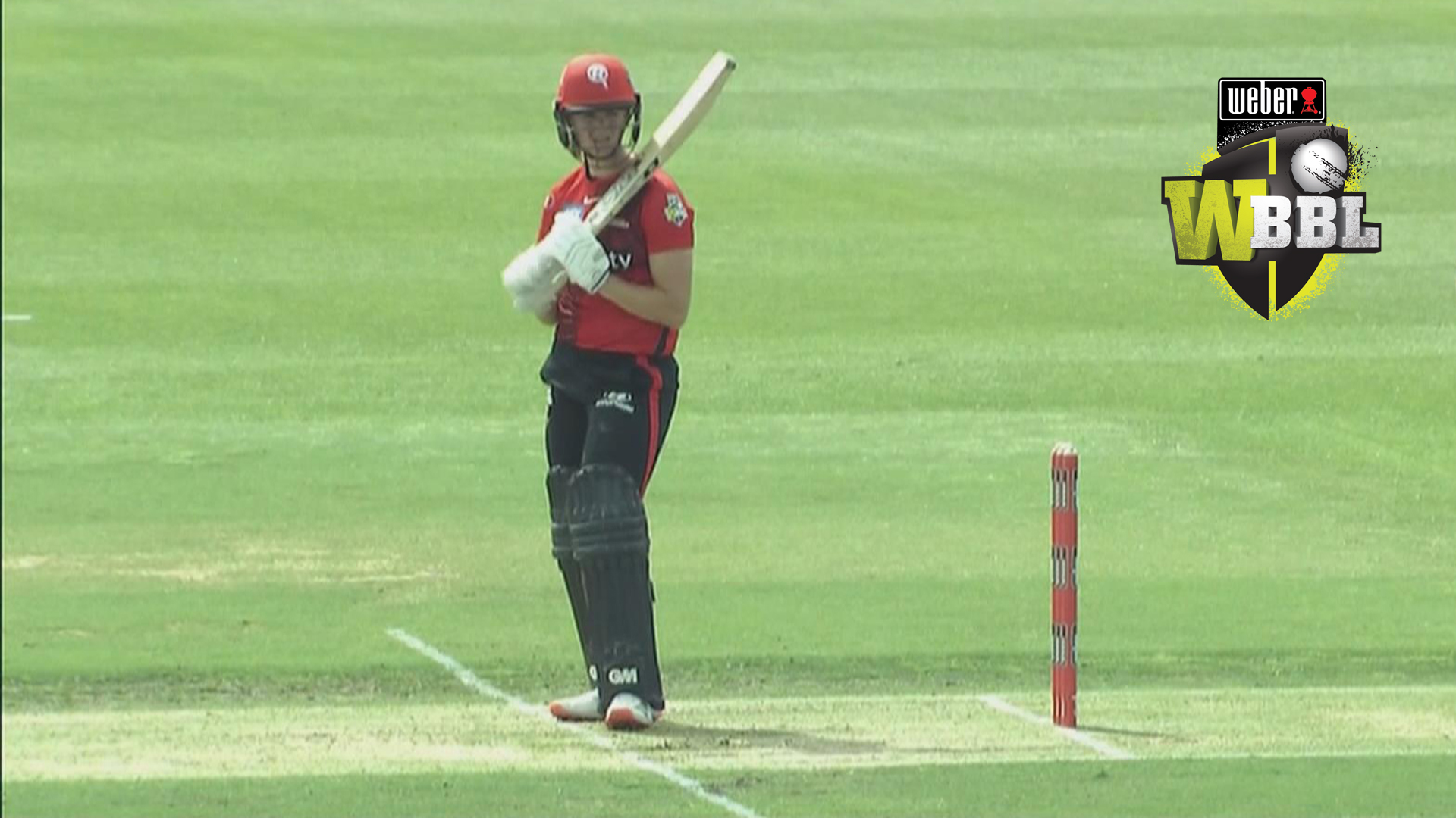 Melbourne Renegades vs Brisbane Heat Women's Big Bash League 2021 5th November SonyLIV. Melbourne Renegades vs Brisbane Heat Women's Big Bash League 2021 5th November SonyLIV.