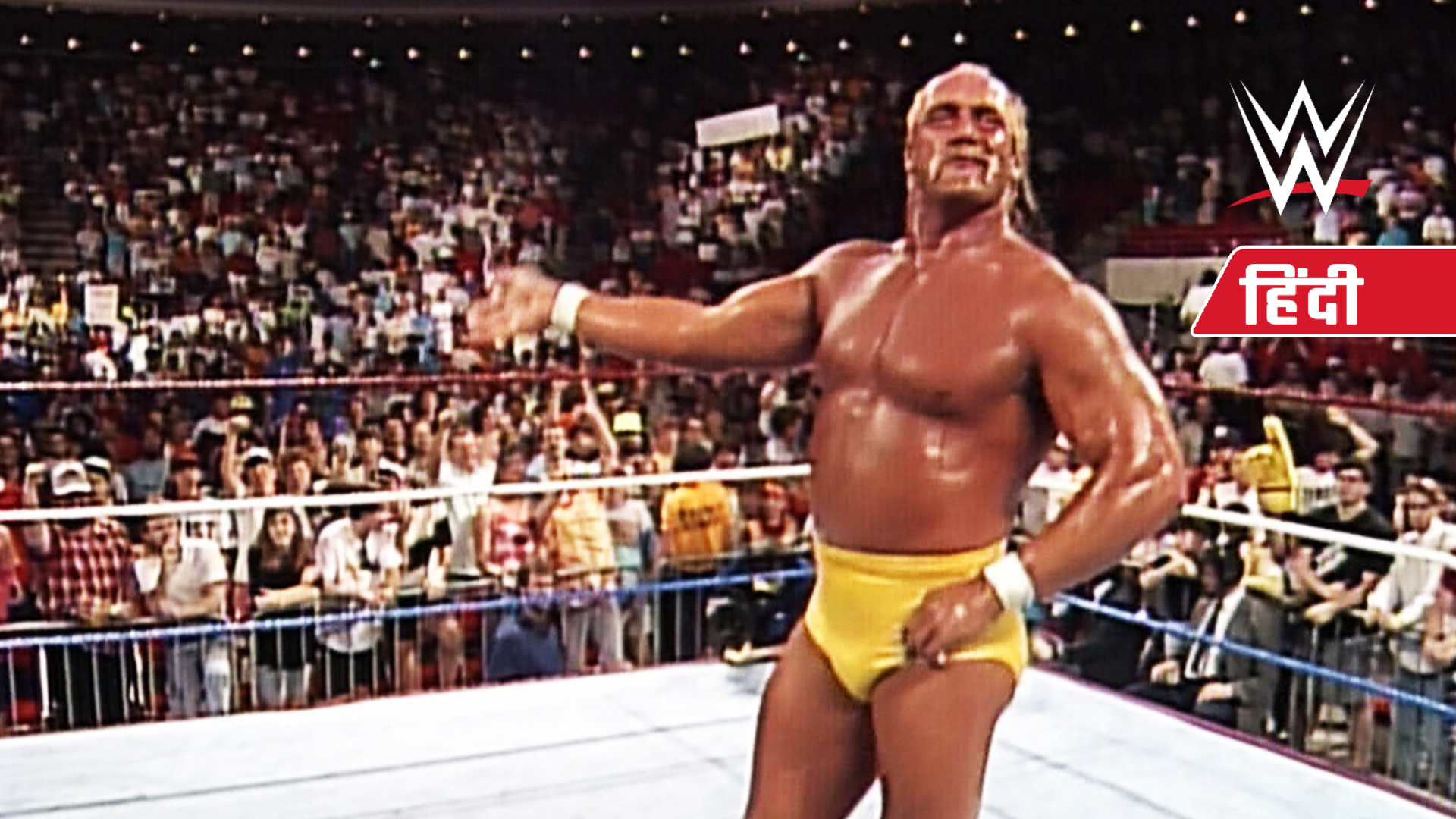 Watch WWE Royal Rumble 1990 (Hindi) from Blockbusters @ 8 - SonyLIV